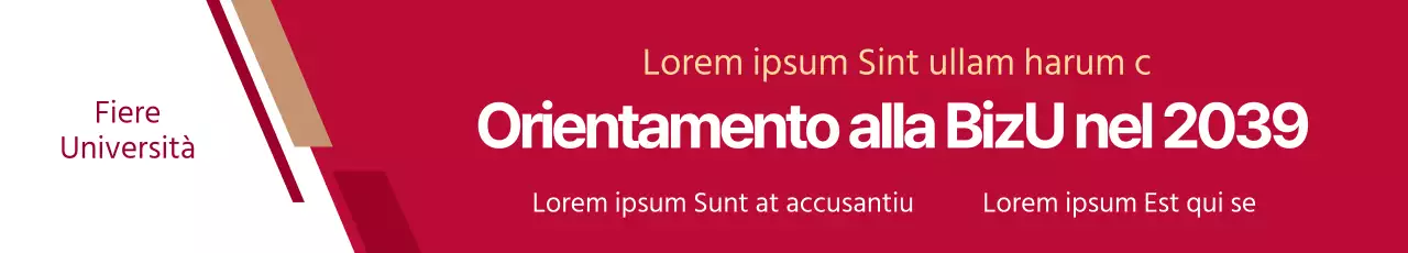 Banner del workshop (orizzontale)