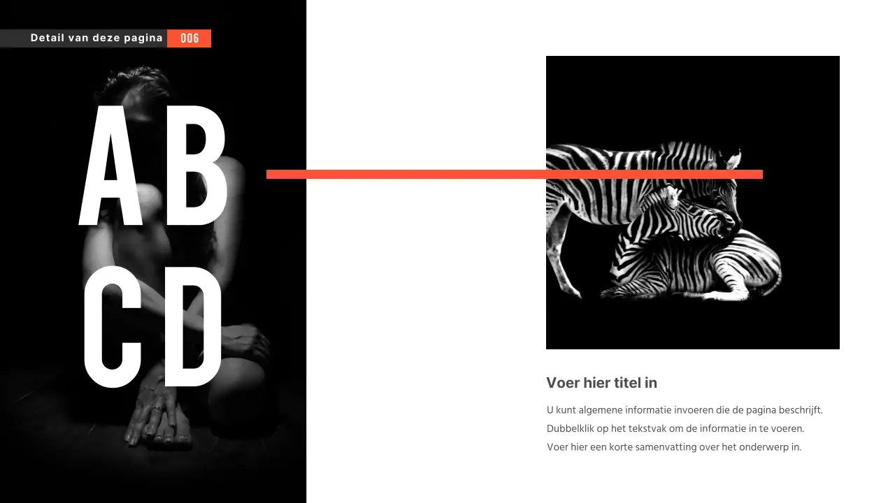 Zwart-wit presentaties