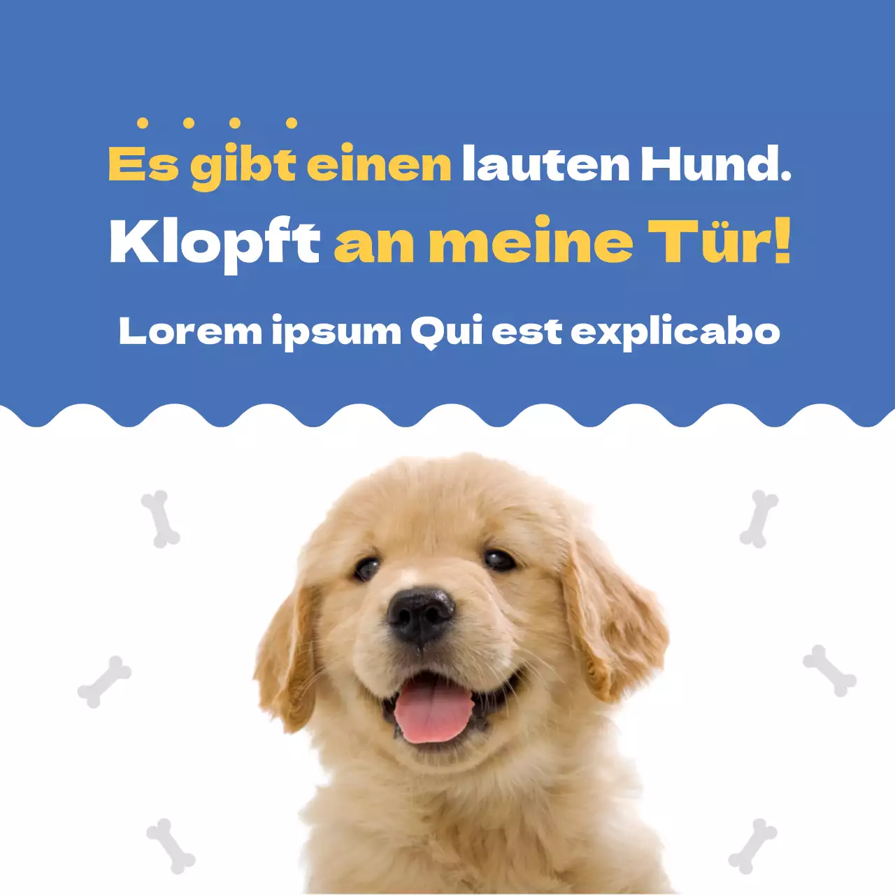 Blau Niedlicher Welpe Hund Zuhause