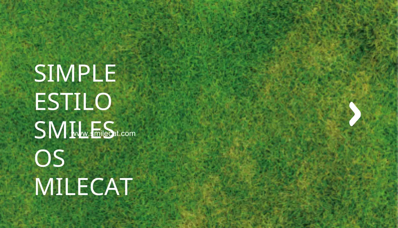 Smilecat