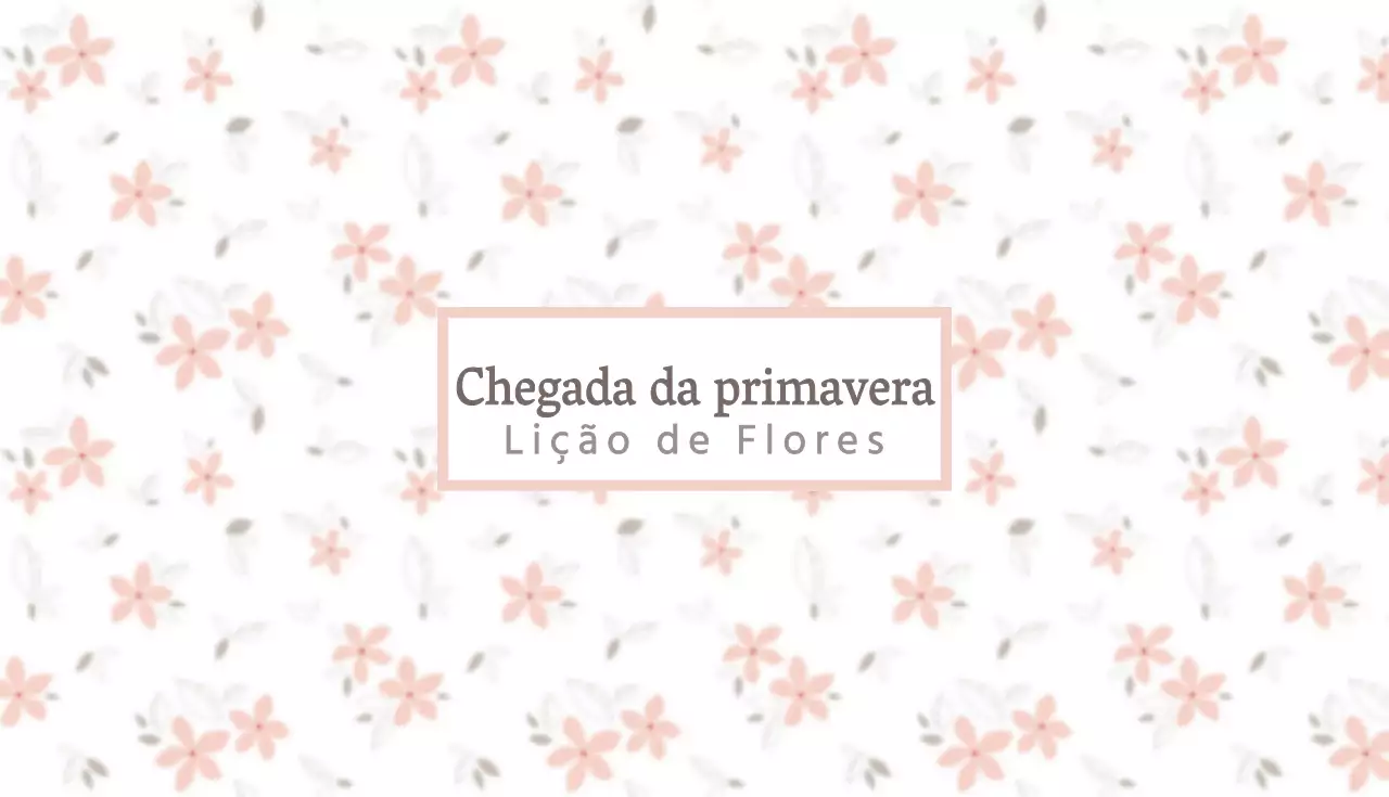 Florista