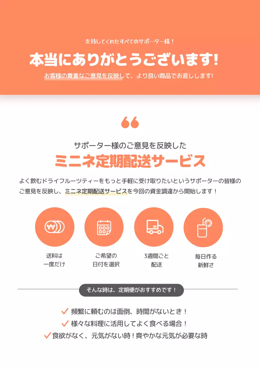 オレンジ ポップ ドライフルーツ パンフレット 詳細ページ