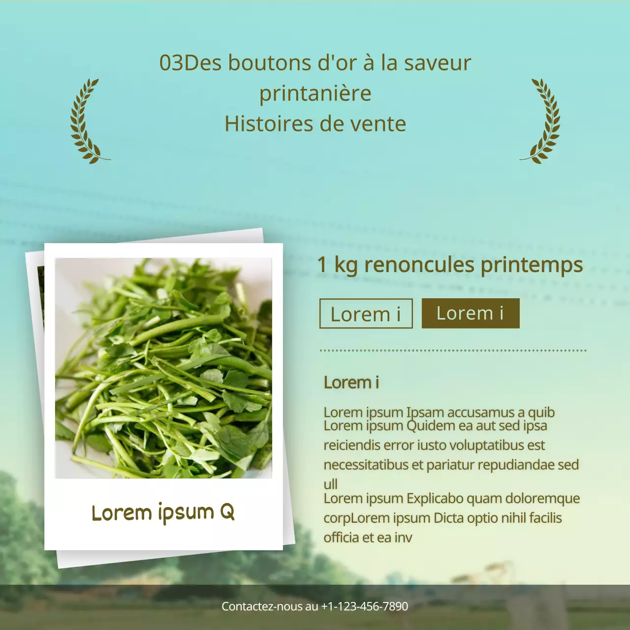 Présentation du concept de parodie de film vert et brun "buttercup".