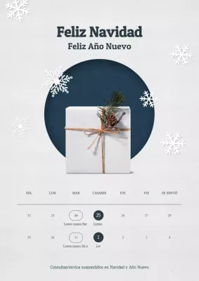 Feliz Año Nuevo