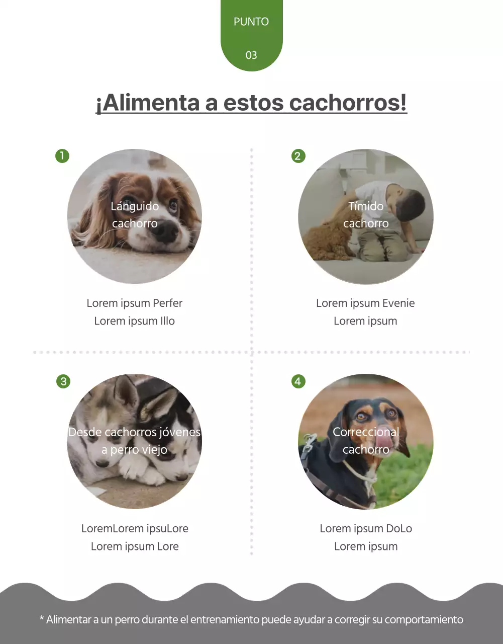 Acerca de las golosinas caseras para mascotas con un toque de amarillo y verde
