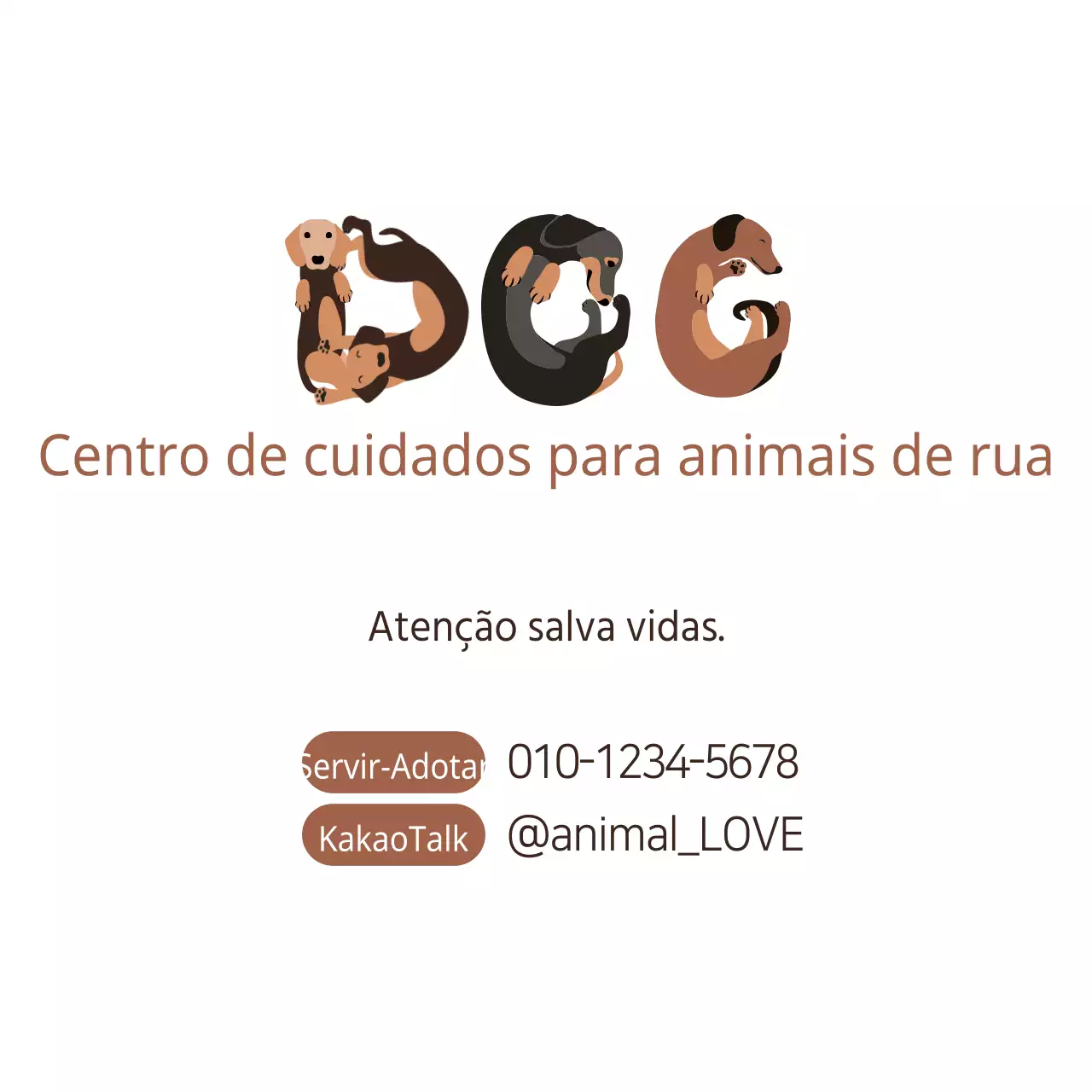 Centro de cuidados para animais de rua