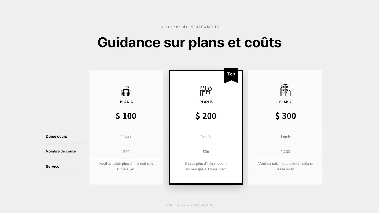 Plan d'affaires pour les entreprises dans les tons gris