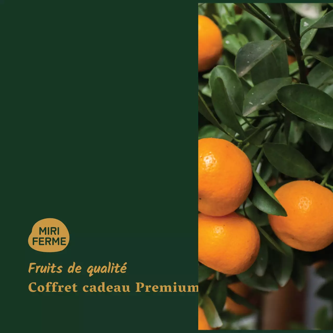 Image simple Cheon Hye Hyang Sticker