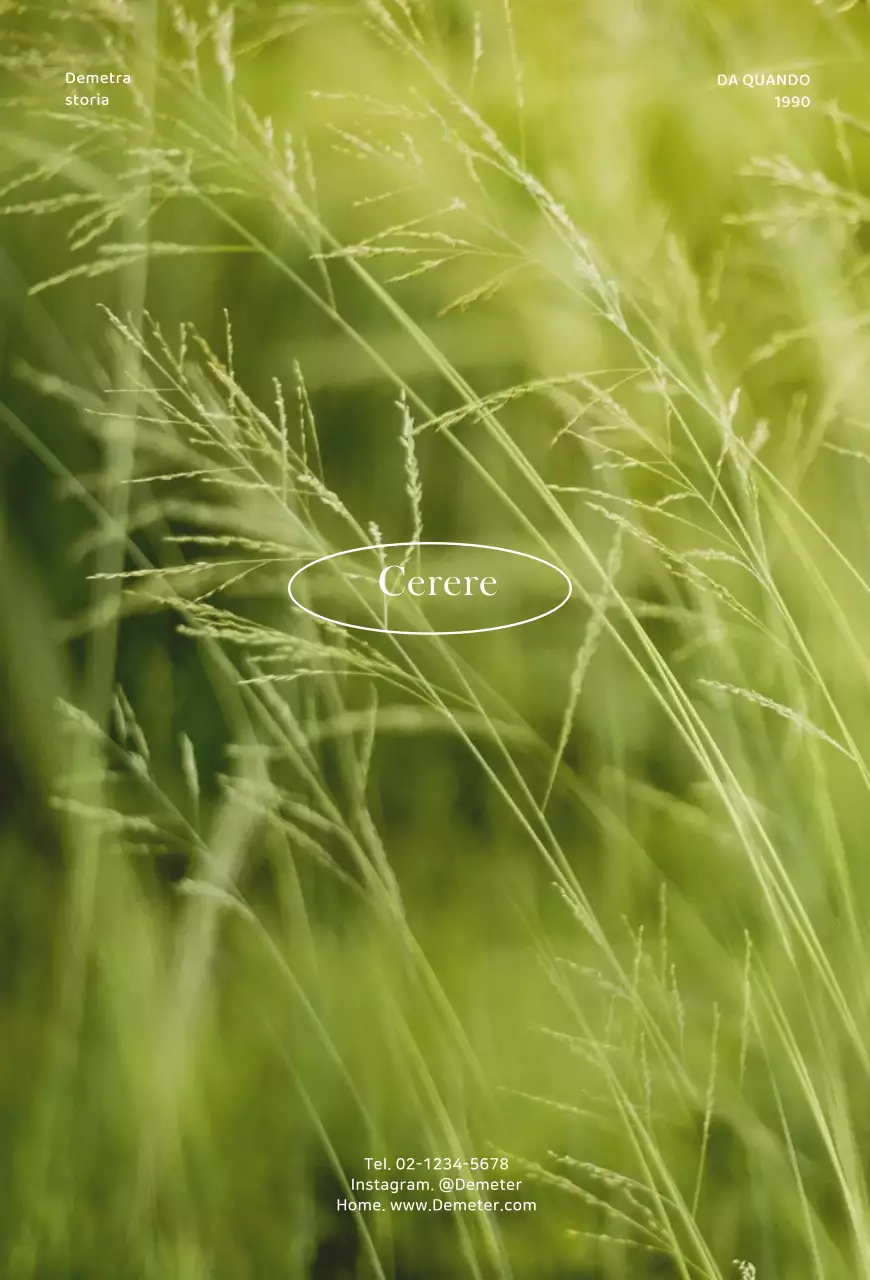 Cartolina con sfondo fotografico sempliceCartolina