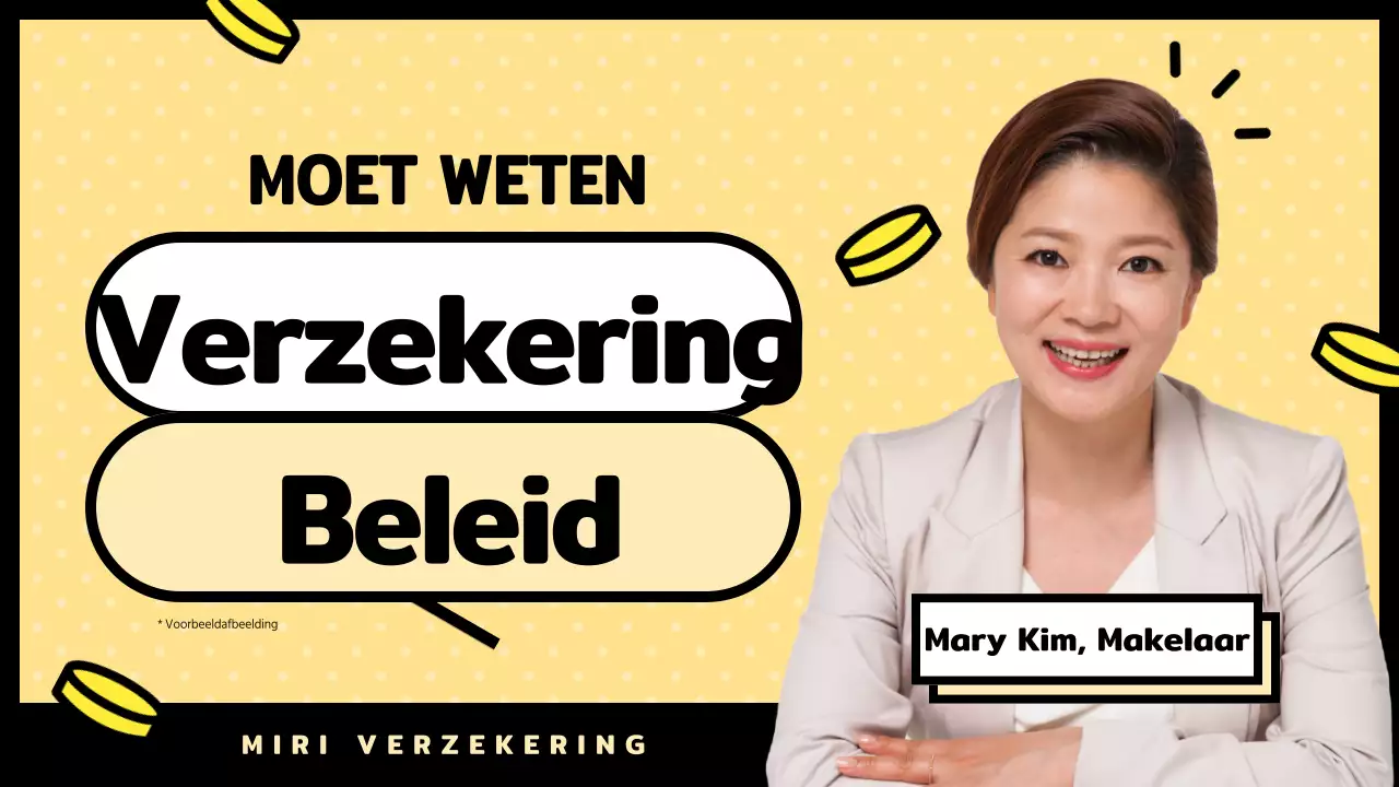 Introductie van leuke verzekeringsinformatie in geel en zwart