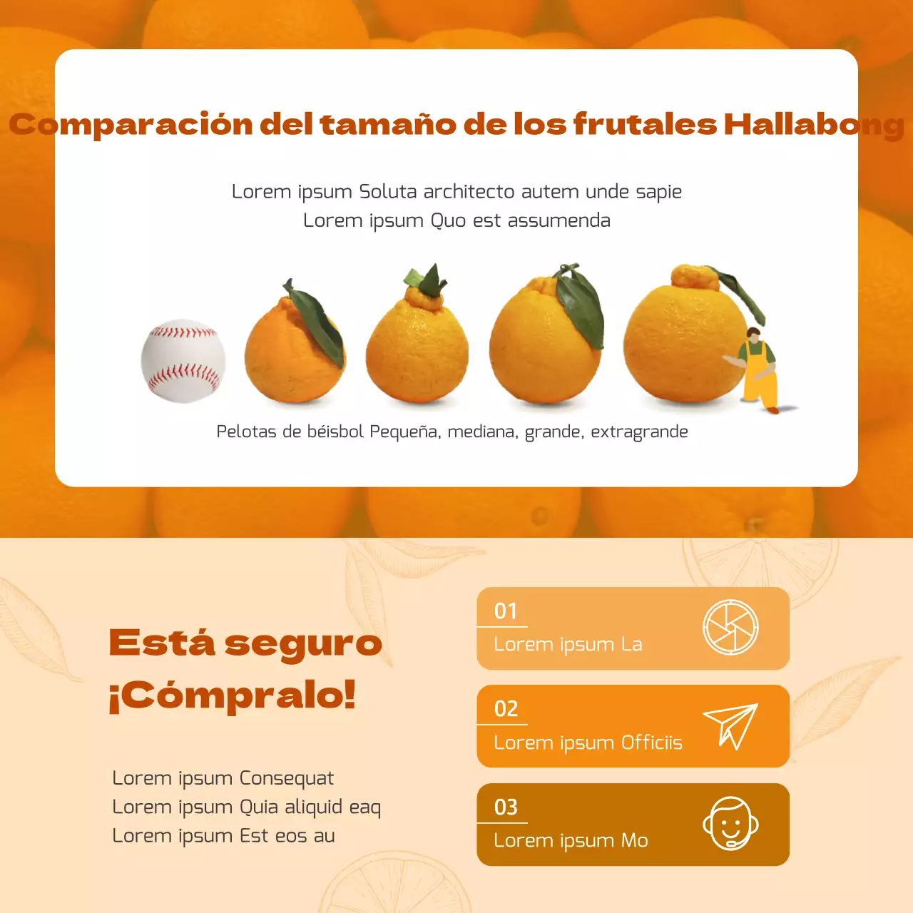 Naranja concepto tradicional vacaciones Hallabong regalo tema set