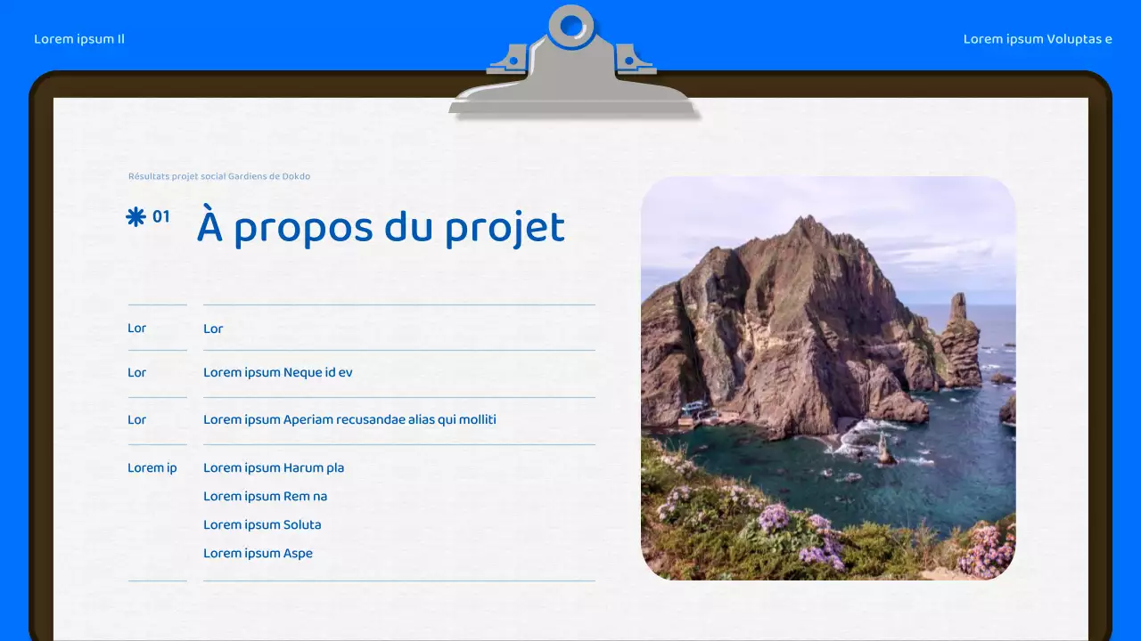 Rapport sur les résultats du projet de défense de dokdo en bleu et bleu clair naturel