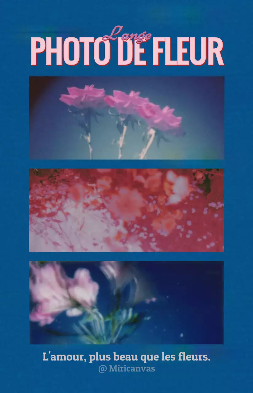 Combinaisons simples de textes et de cadres photos dans des couleurs de rêve Pour des articles personnalisés