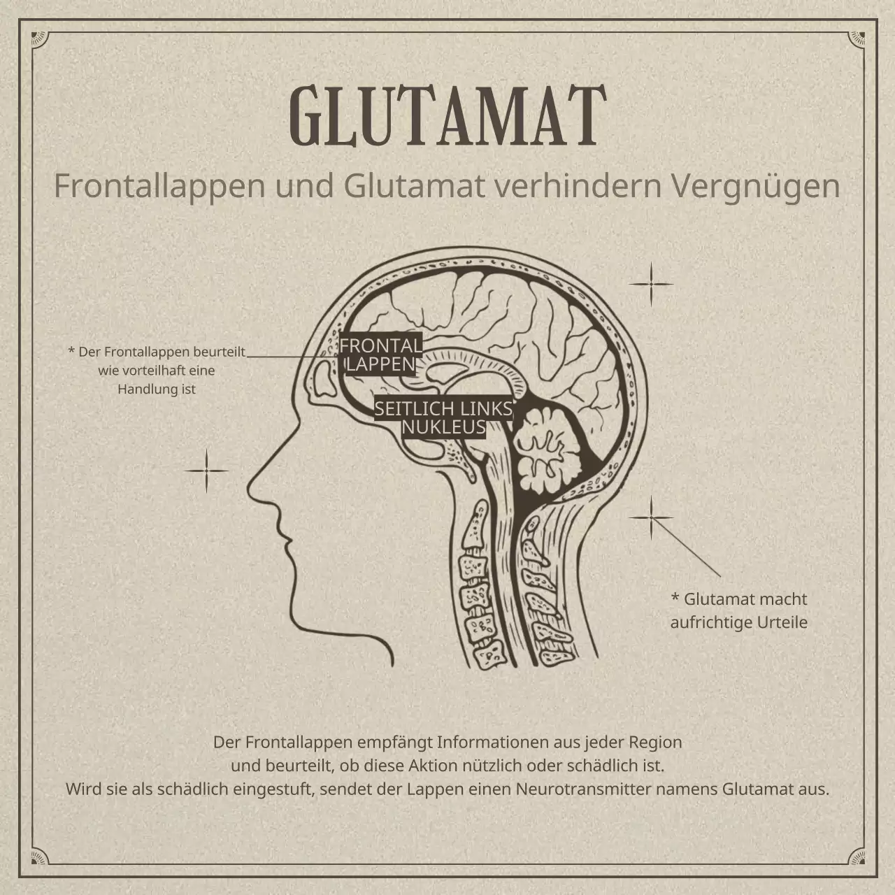 Neurowissenschaft und Faulheit in einem beigen, realistischen Illustrationskonzept