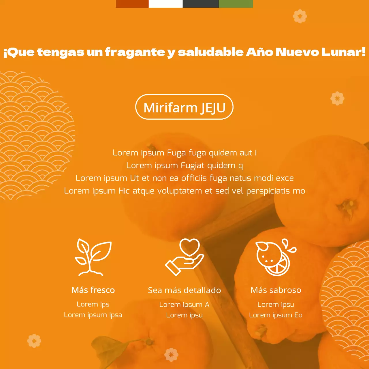 Naranja concepto tradicional vacaciones Hallabong regalo tema set