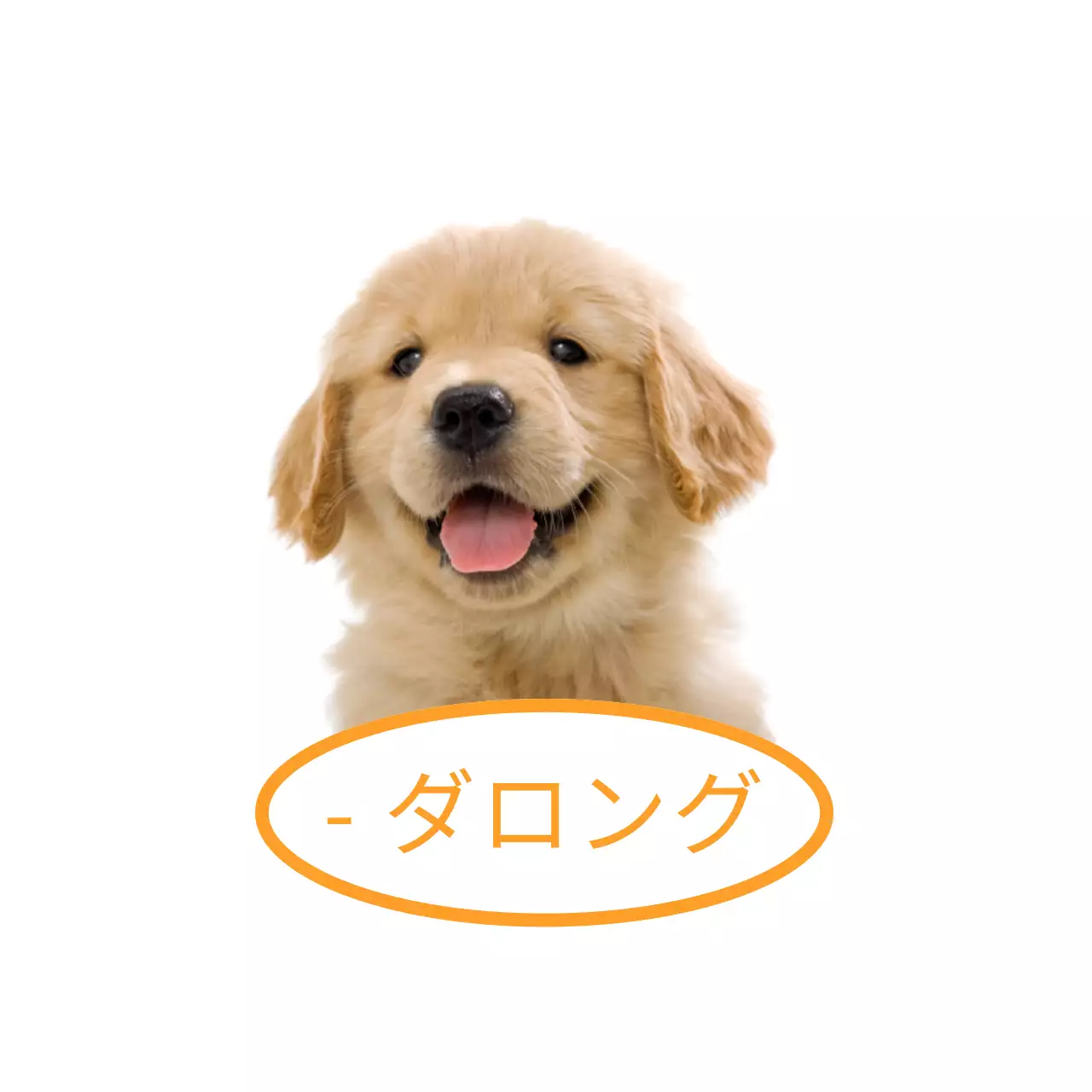 赤と黄色のかわいい猫と子犬の実物写真が入った名札。