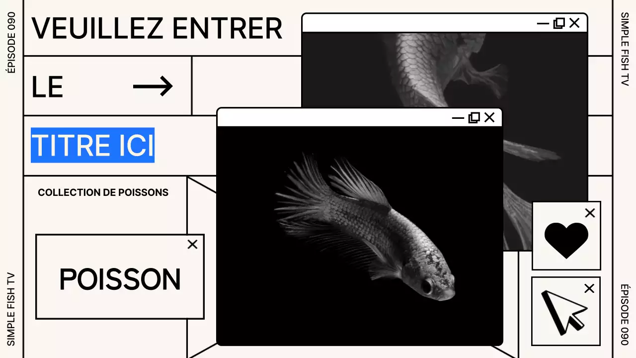 Concept de fenêtre quadrillée en noir et beige Garder les poissons