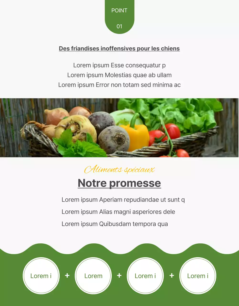 Des friandises faites maison pour les animaux de compagnie avec une touche de jaune et de vert