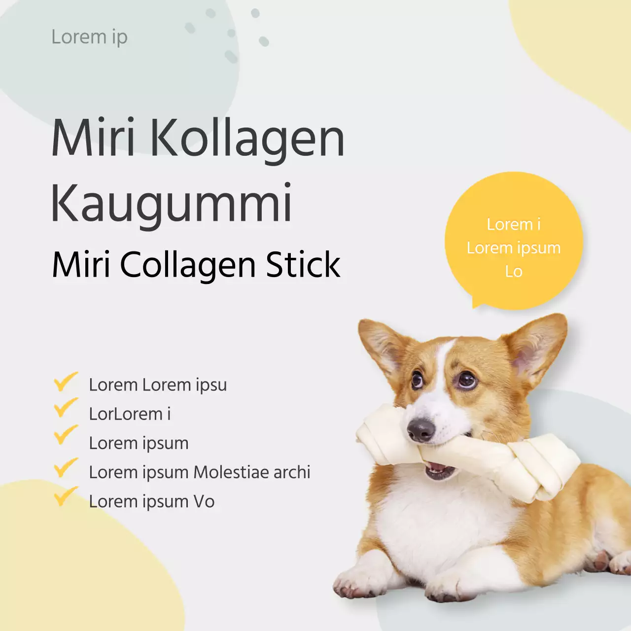 Pastellfarbene Informationshinweise für Hunde