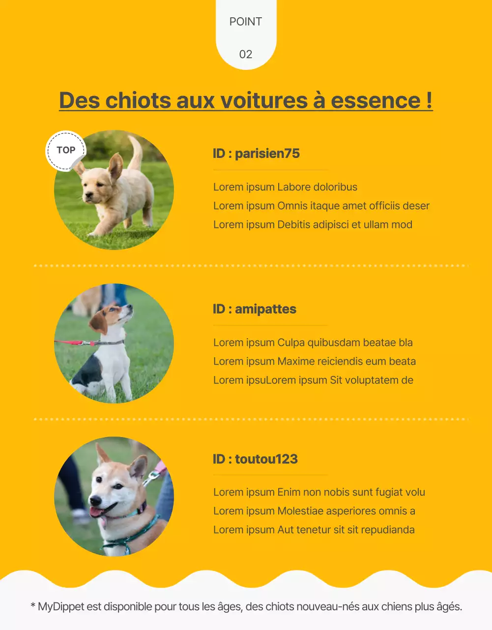 Des friandises faites maison pour les animaux de compagnie avec une touche de jaune et de vert