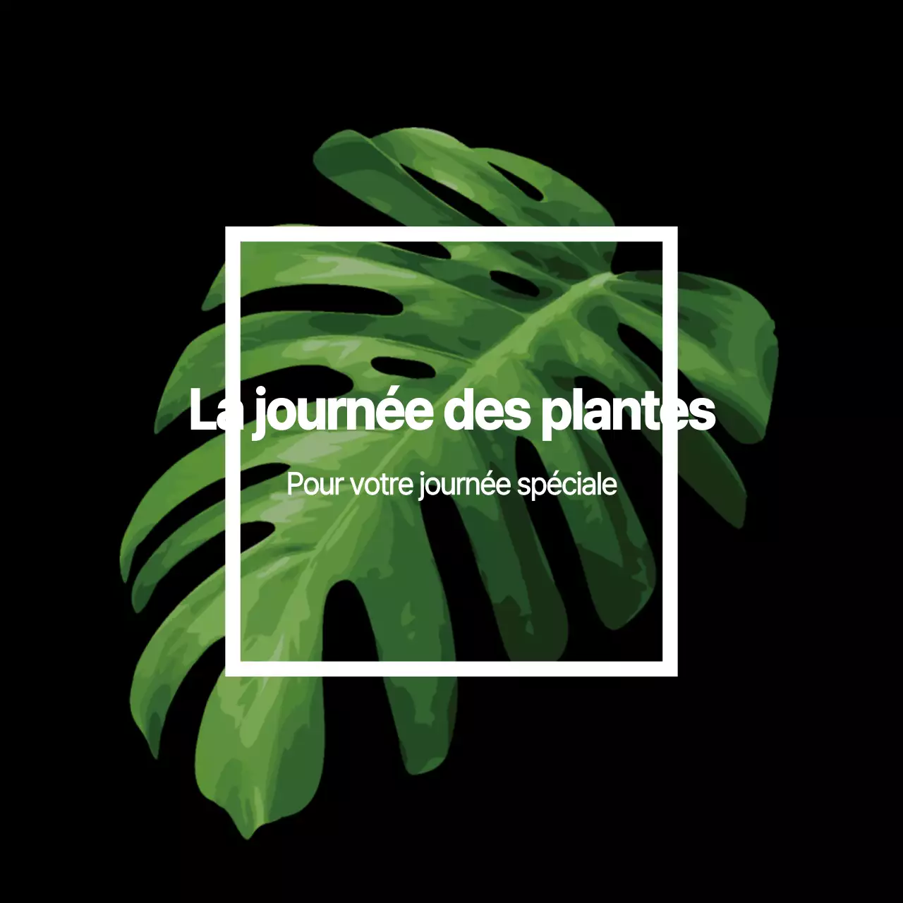Plantes