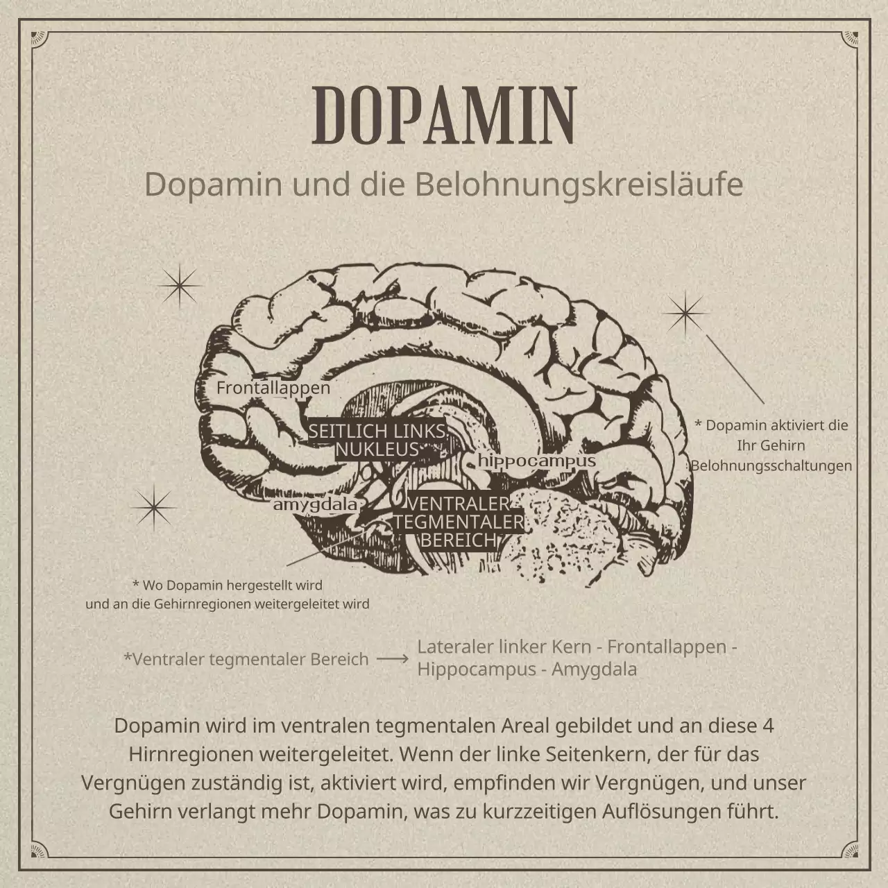 Neurowissenschaft und Faulheit in einem beigen, realistischen Illustrationskonzept