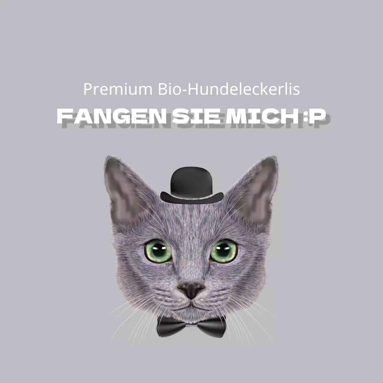 Premium Bio-Hundeleckerlis