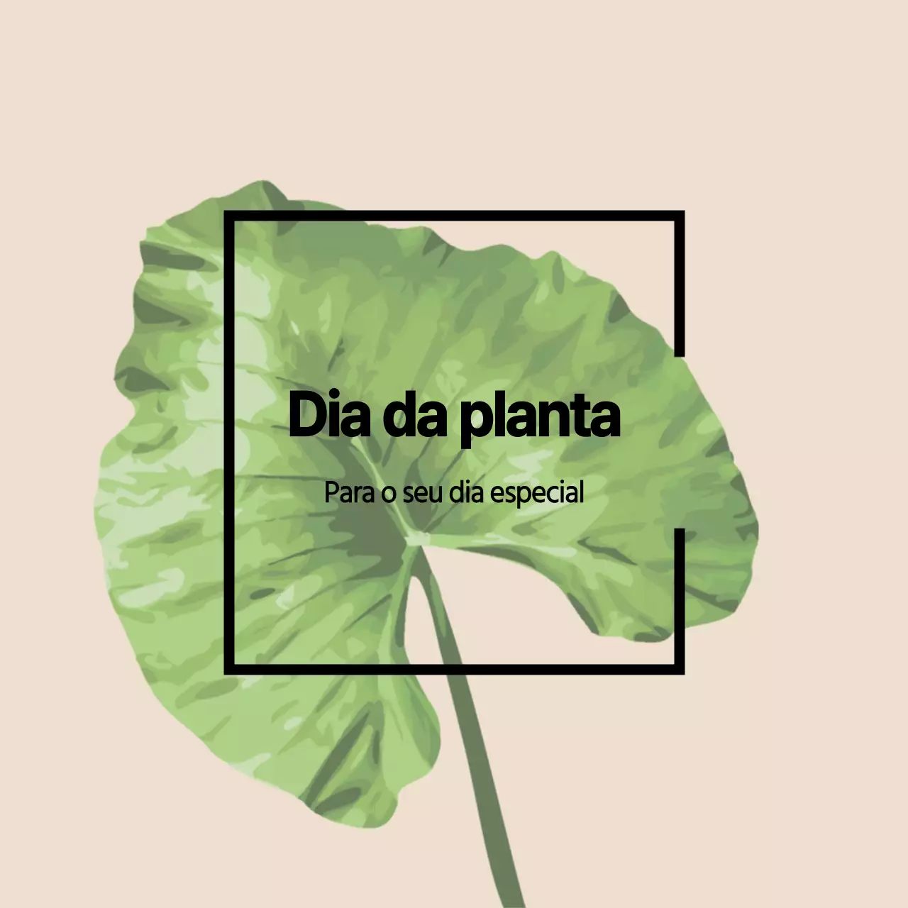 Plantas