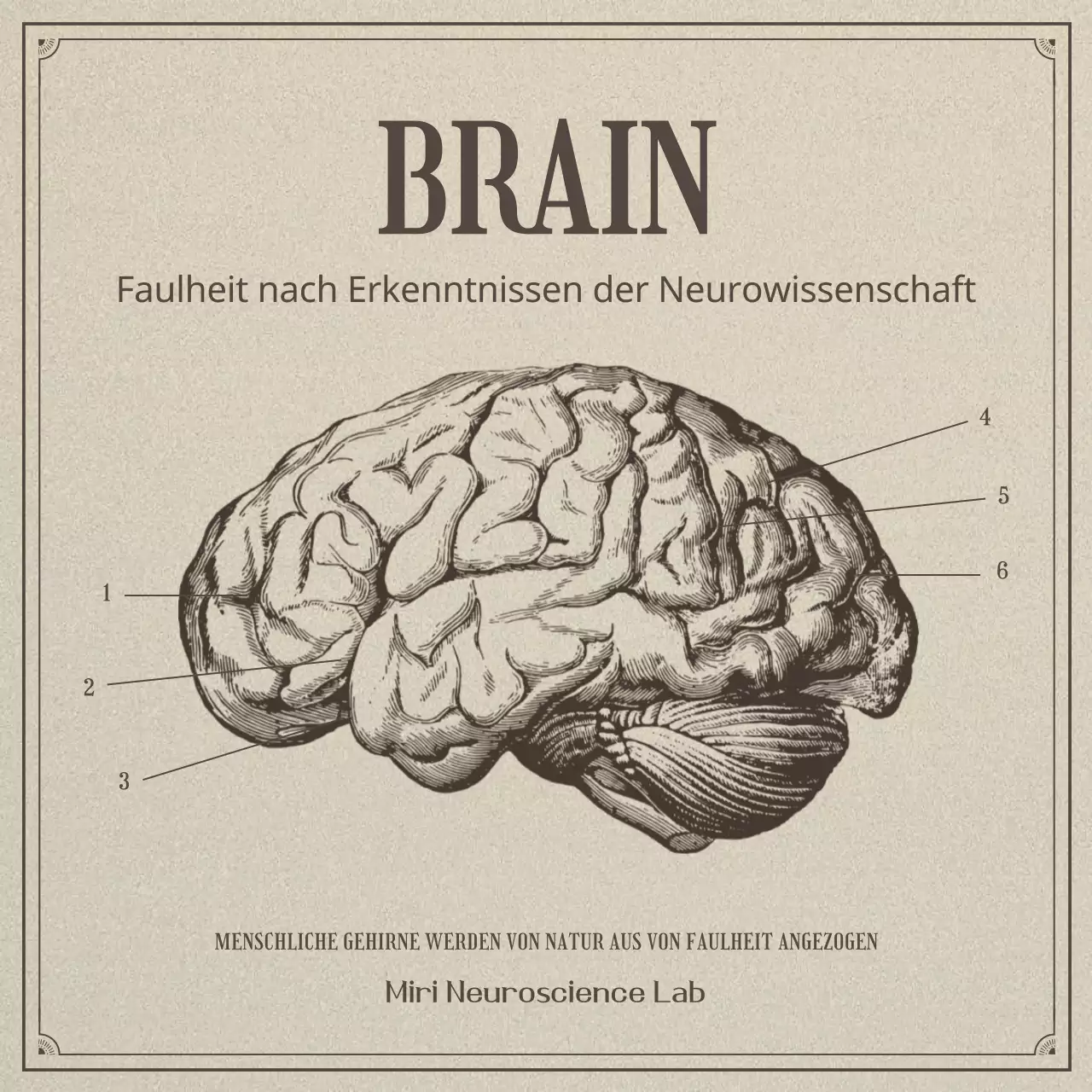 Neurowissenschaft und Faulheit in einem beigen, realistischen Illustrationskonzept