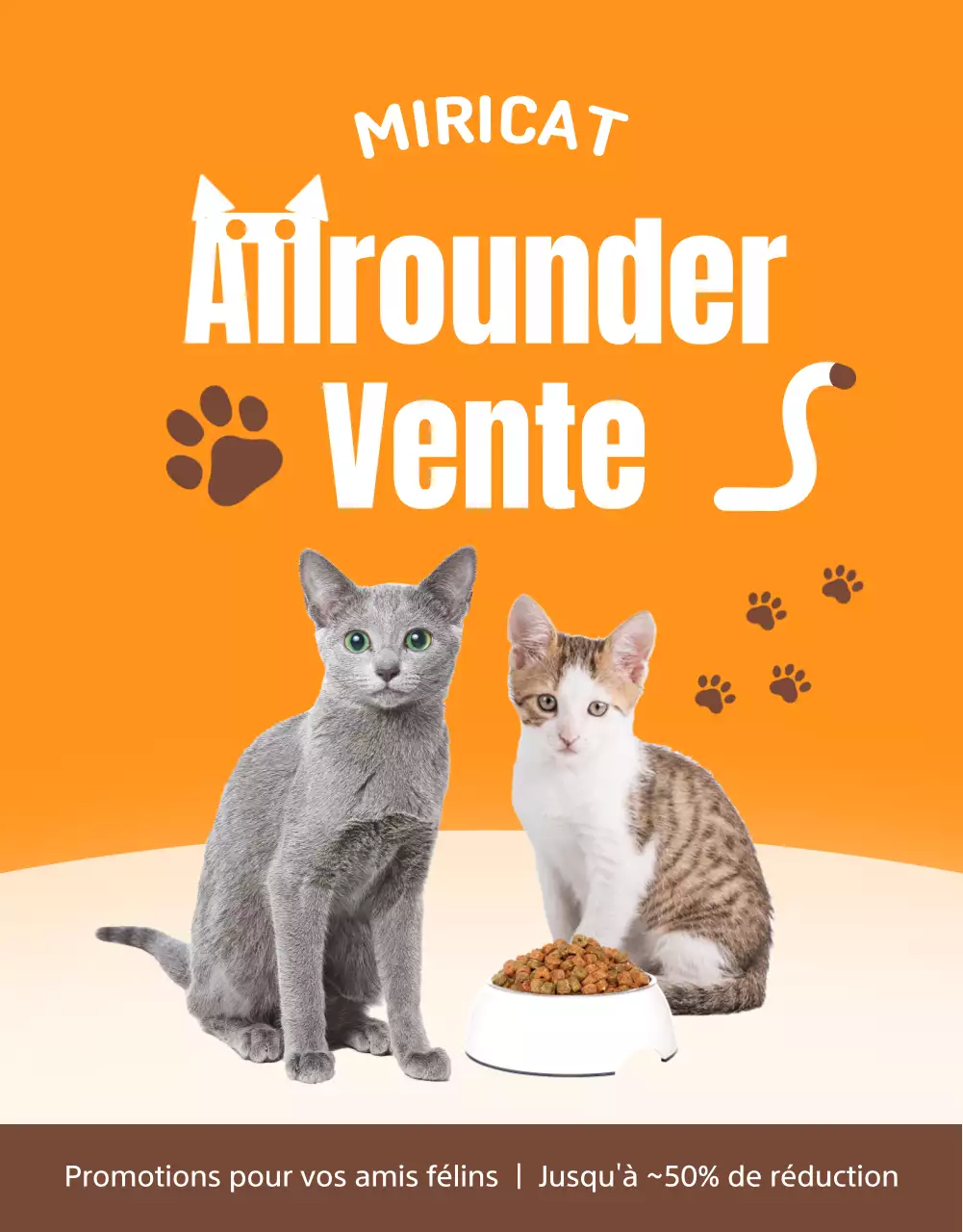 Vente d'un chat orange mignon et bien rangé dans un centre commercial