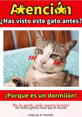 Volante retro rojo y blanco para presumir de animal de clase B