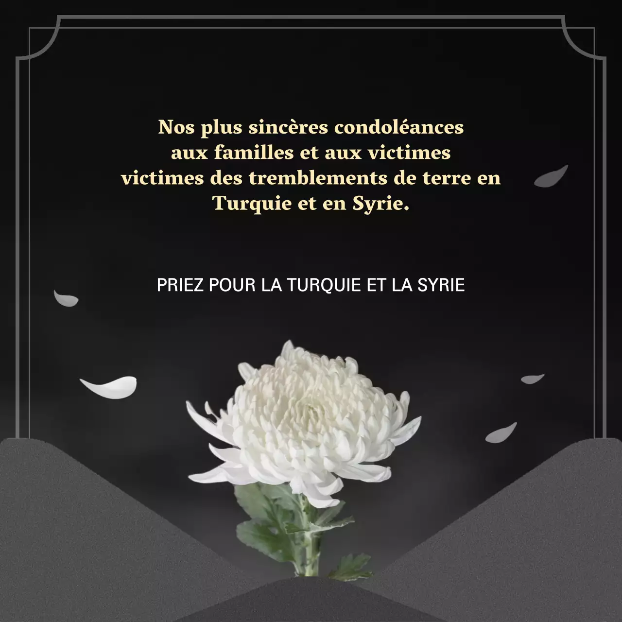 Les origines de la restauration de la Syrie turque sur un fond noir foncé