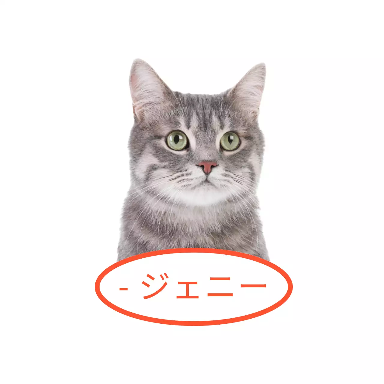 赤と黄色のかわいい猫と子犬の実物写真が入った名札。