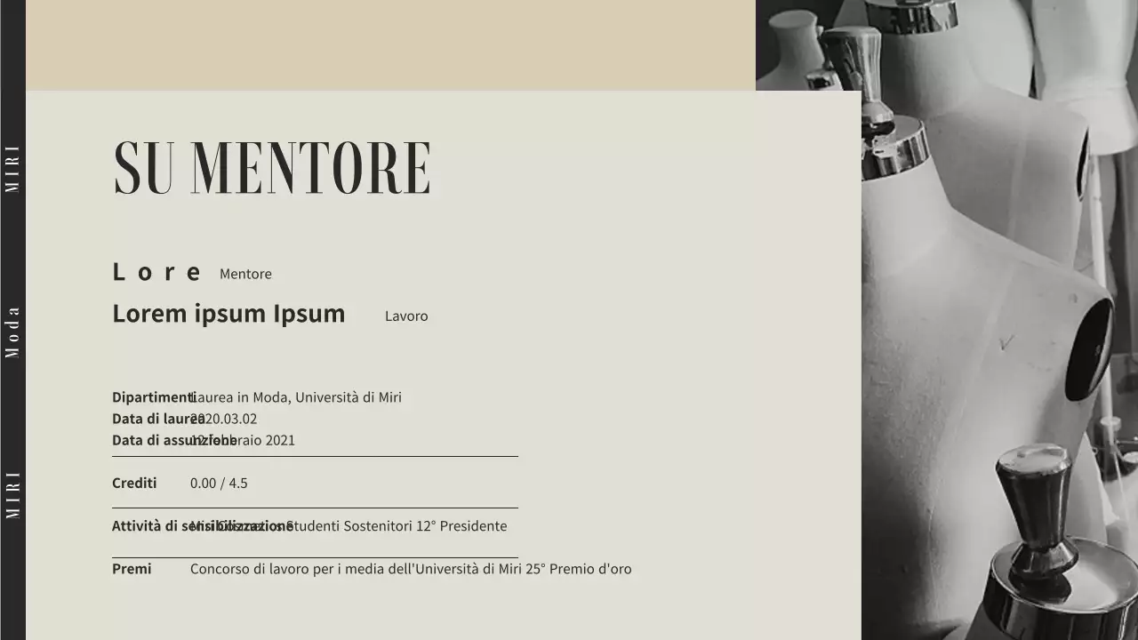 Strategia occupazionale delle aziende di moda beige e grigie, tema della conferenza speciale di mentoring (presentazione)