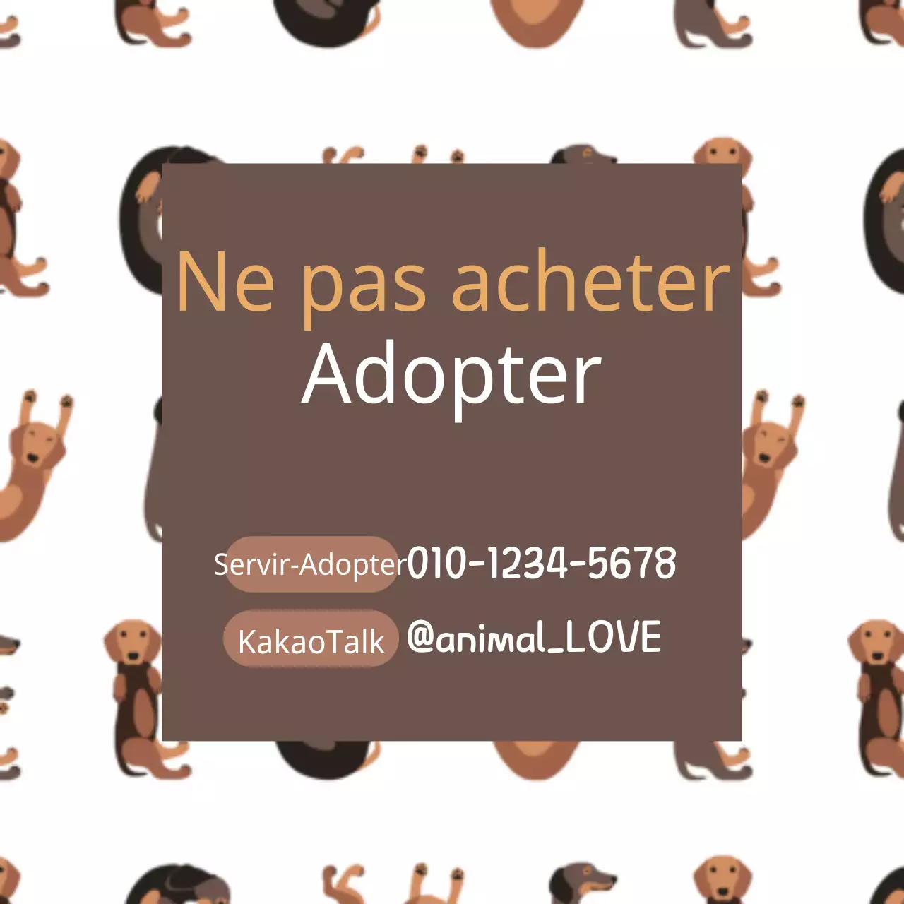 Animaux de compagnie