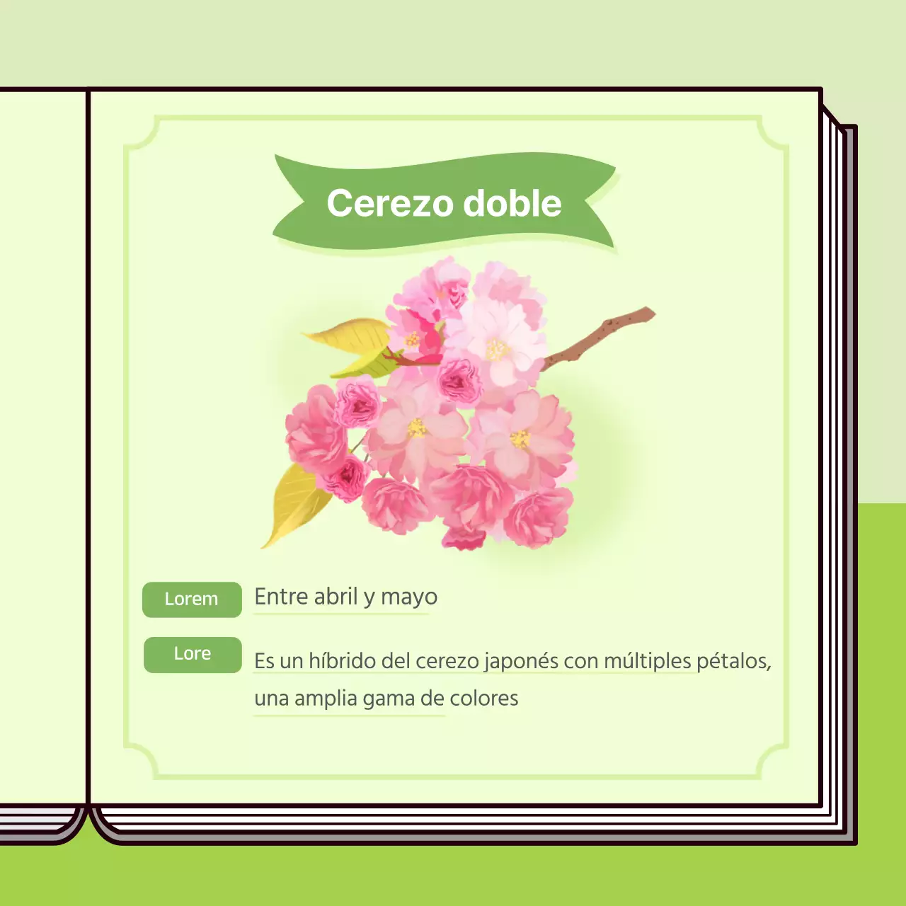Concepto informativo de libro de cerezos en flor en colores pastel