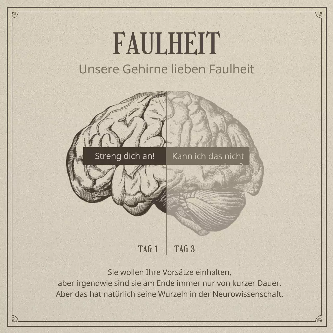 Neurowissenschaft und Faulheit in einem beigen, realistischen Illustrationskonzept