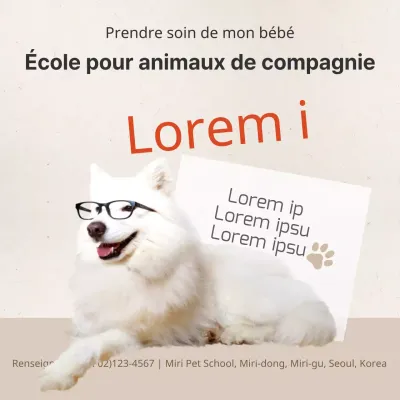 École des animaux de compagnie