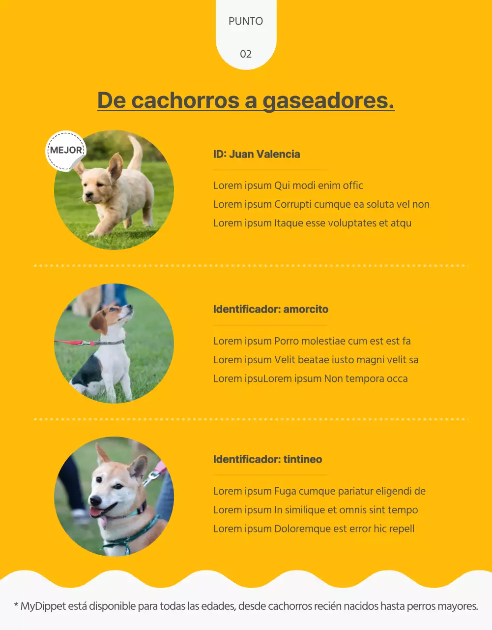 Acerca de las golosinas caseras para mascotas con un toque de amarillo y verde