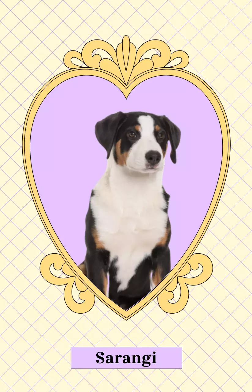 Una lussuosa cornice antica a forma di cuore con una foto colorata del vostro animale domestico.