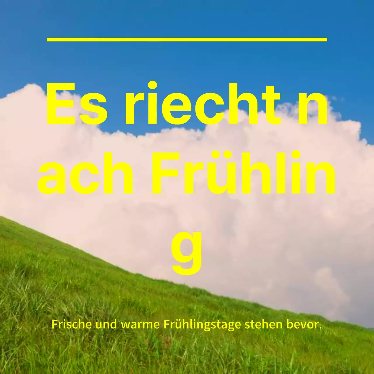 Typografie in der Frühlingsblumenfotografie