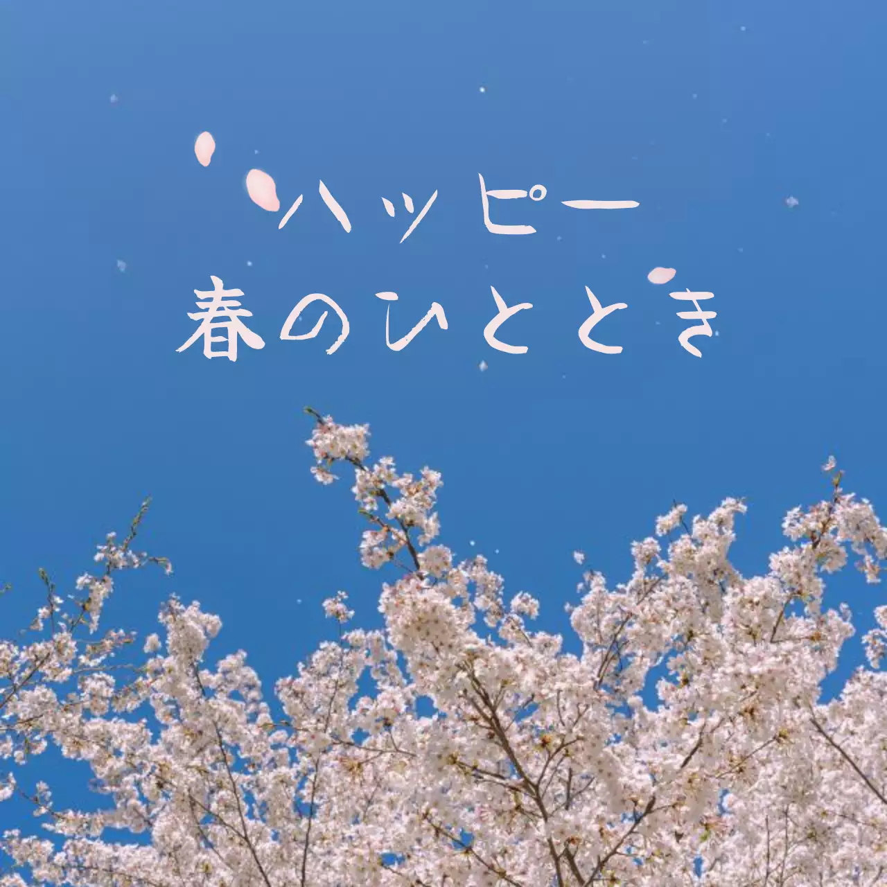 桜をコンセプトにした感性的なカフェのインテリアデザイン