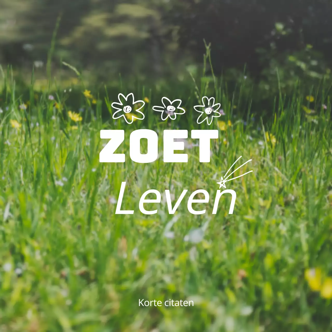 Merchandise met emotionele geel-witte landschapsfoto's en emotionele tekst