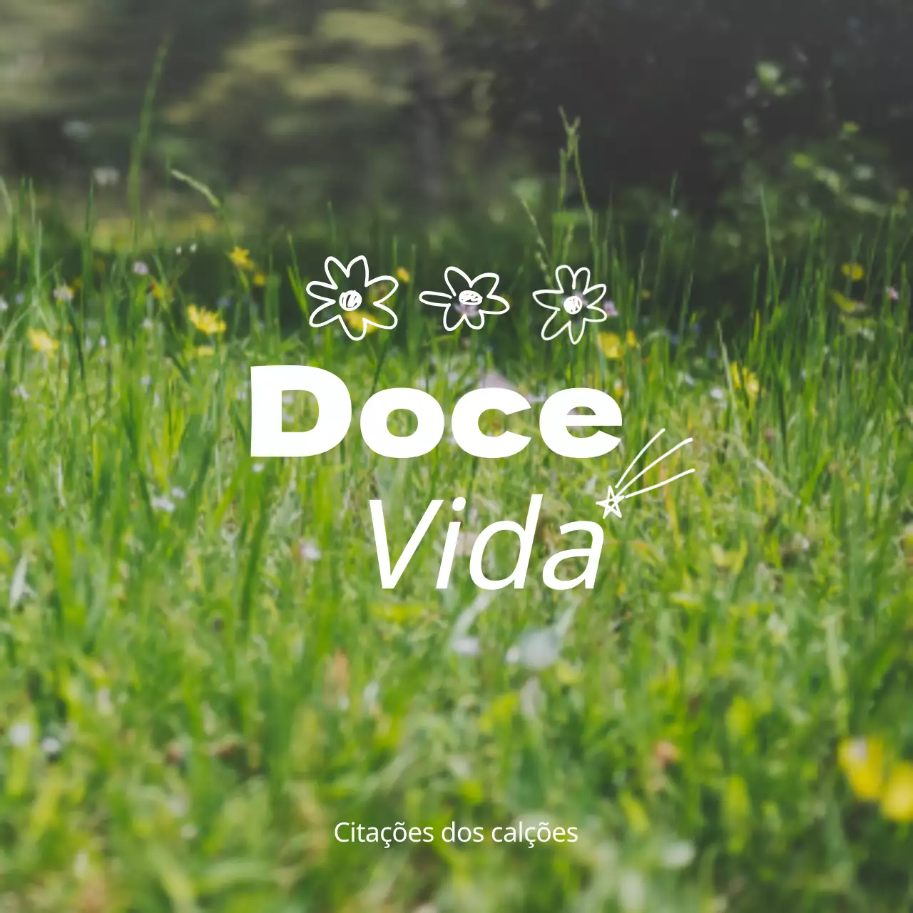 Mercadoria com fotografias emocionais de paisagens a amarelo e branco e texto emocional