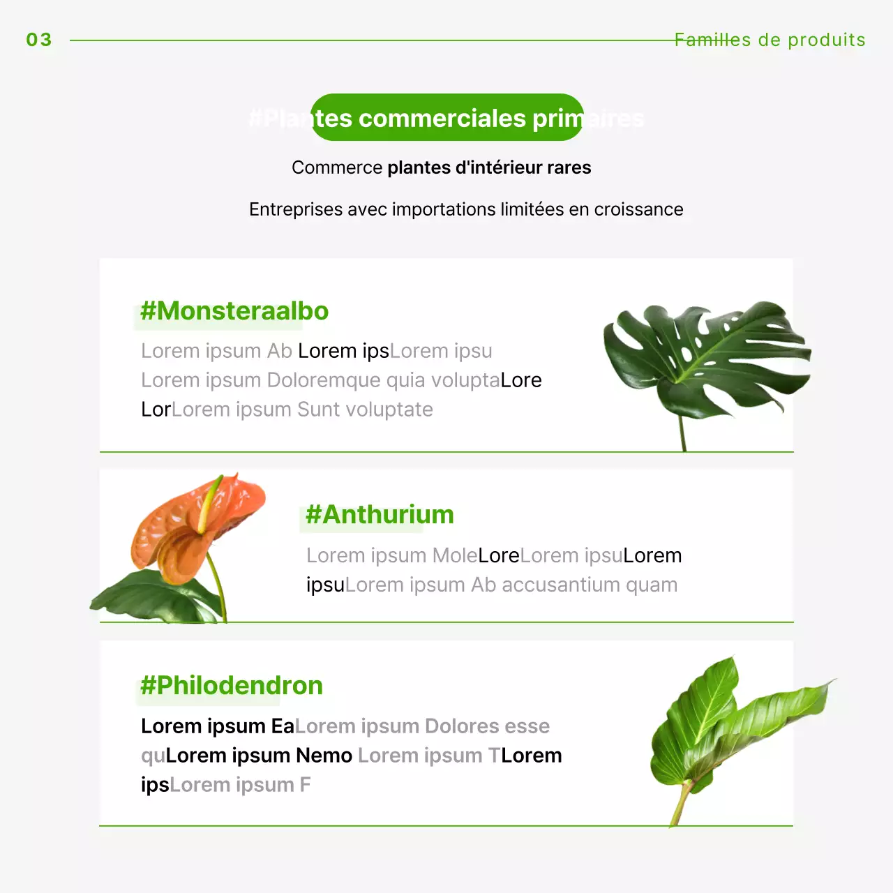 Un guide pratique de la technologie alimentaire avec une courbe verte