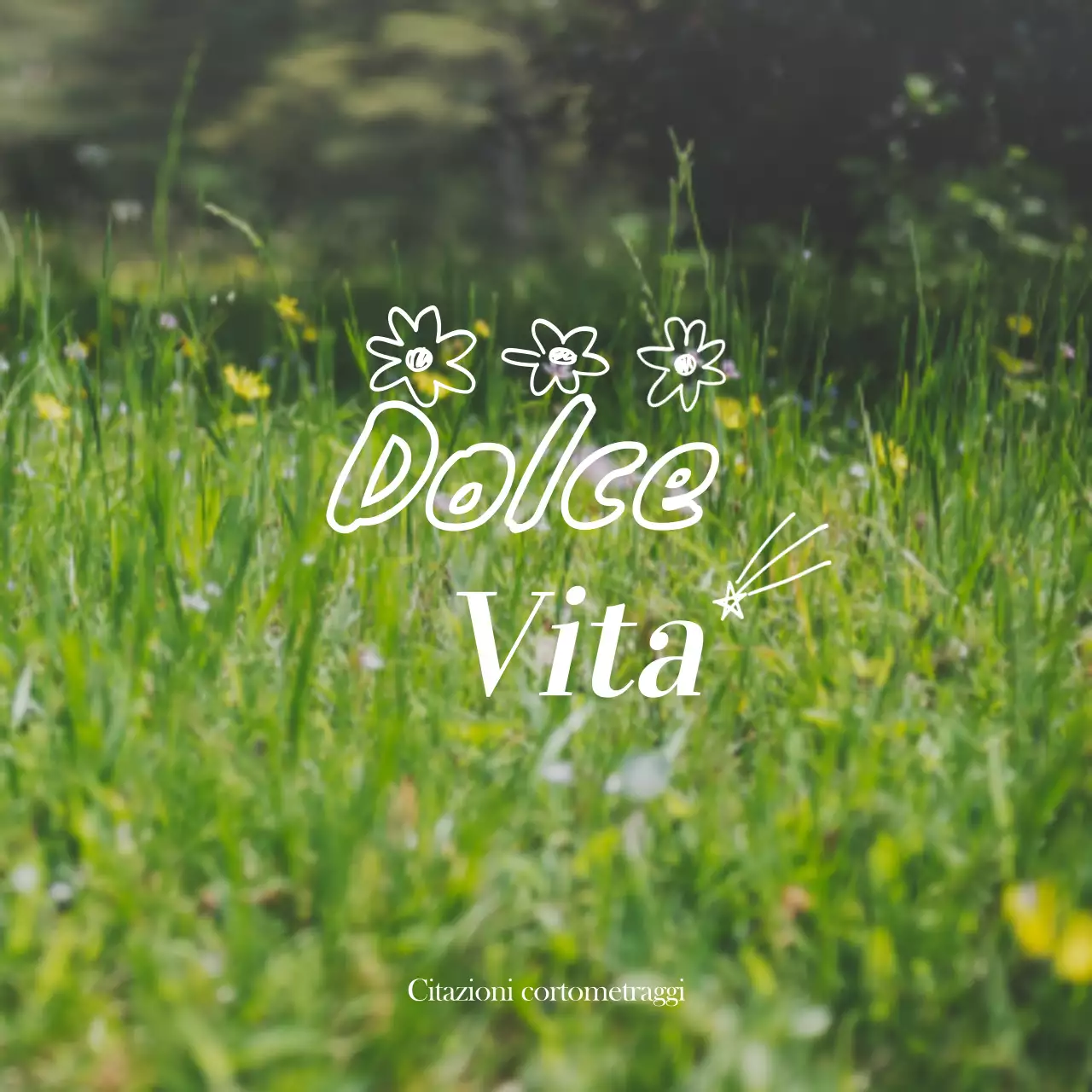 Merchandising con foto emozionali di paesaggi gialli e bianchi e testo emozionale