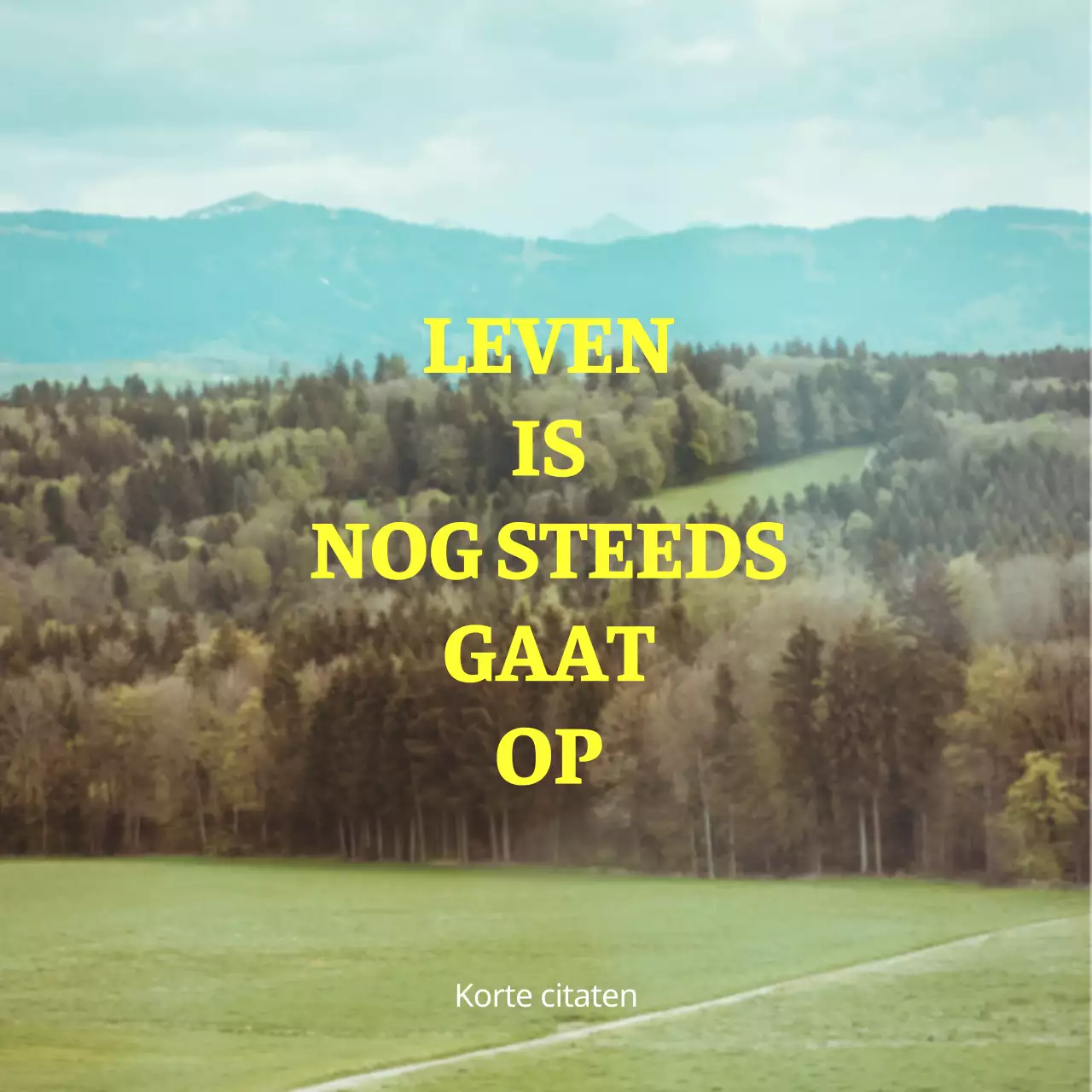 Merchandise met emotionele geel-witte landschapsfoto's en emotionele tekst