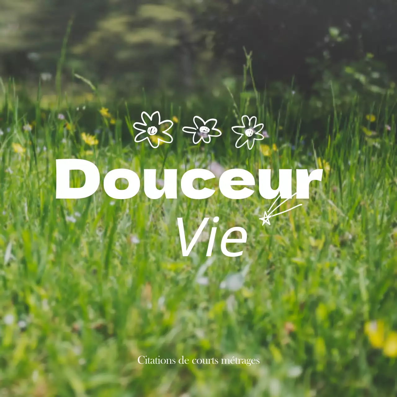 Marchandises avec des photos émotionnelles de paysages jaunes et blancs et des textes émotionnels