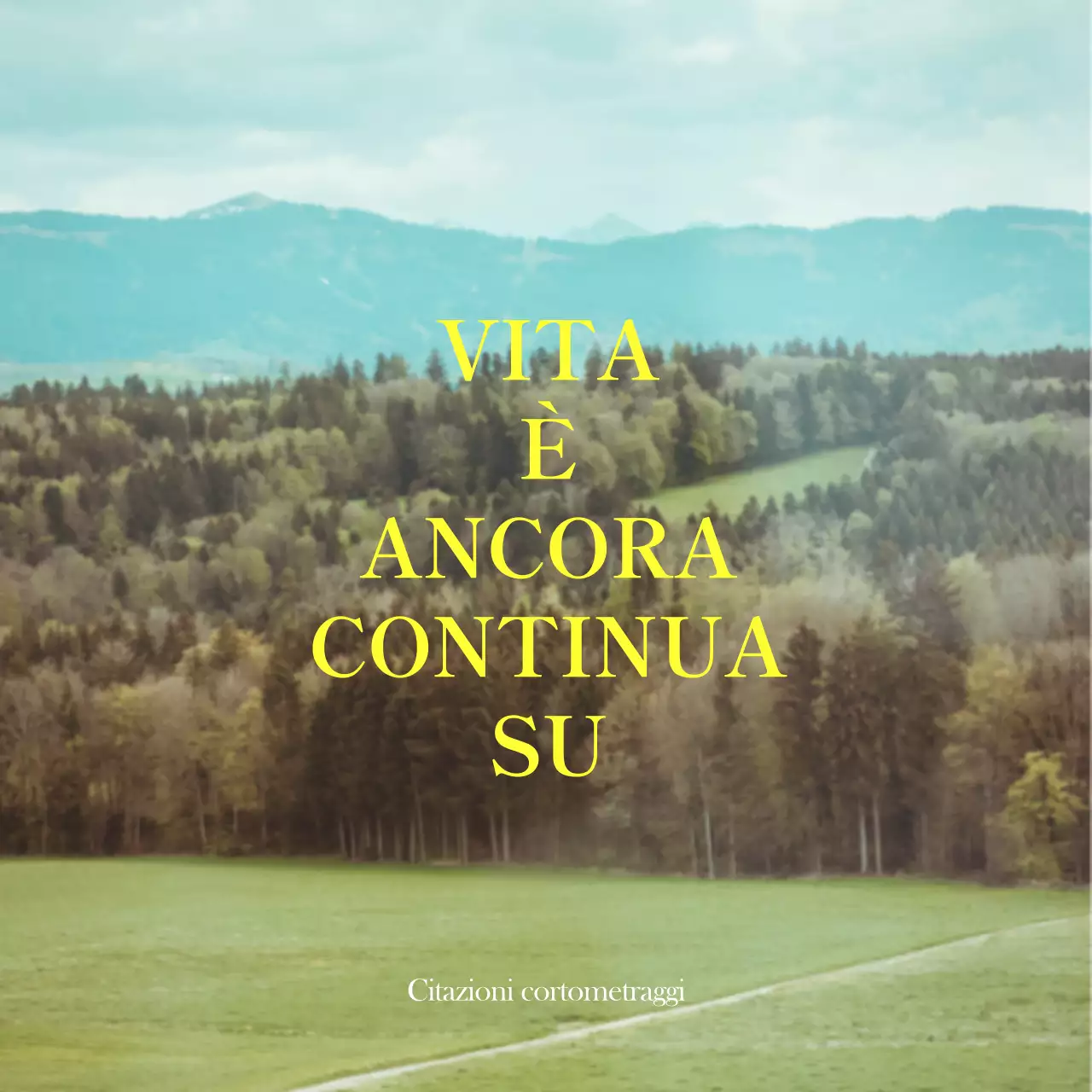 Merchandising con foto emozionali di paesaggi gialli e bianchi e testo emozionale