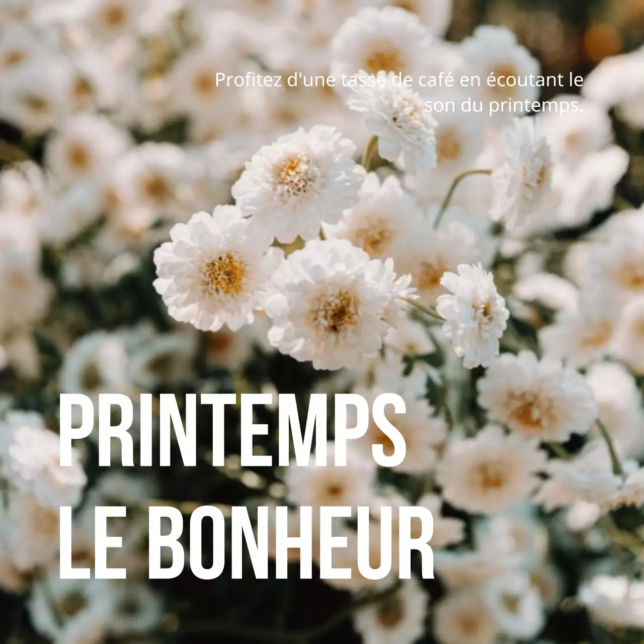 Conception florale printanière